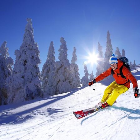 Ski Villa Rubicon Лоучна-под-Клиновцем Экстерьер фото