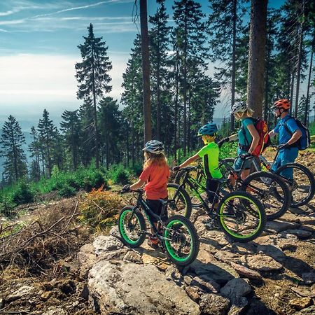 Ski Villa Rubicon Лоучна-под-Клиновцем Экстерьер фото